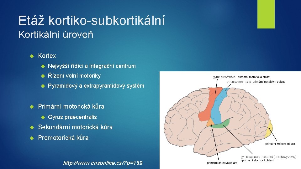 Etáž kortiko-subkortikální Kortikální úroveň Kortex Nejvyšší řídící a integrační centrum Řízení volní motoriky Pyramidový