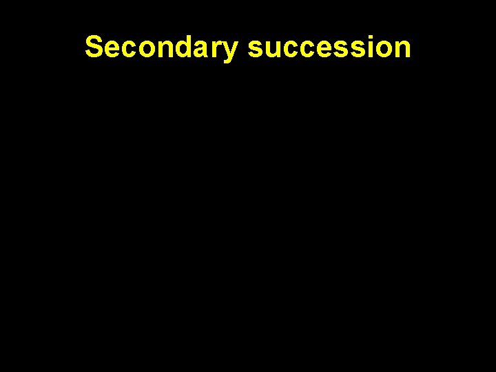 Secondary succession 