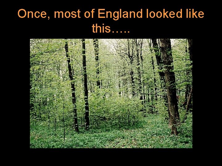 Once, most of England looked like this…. . 