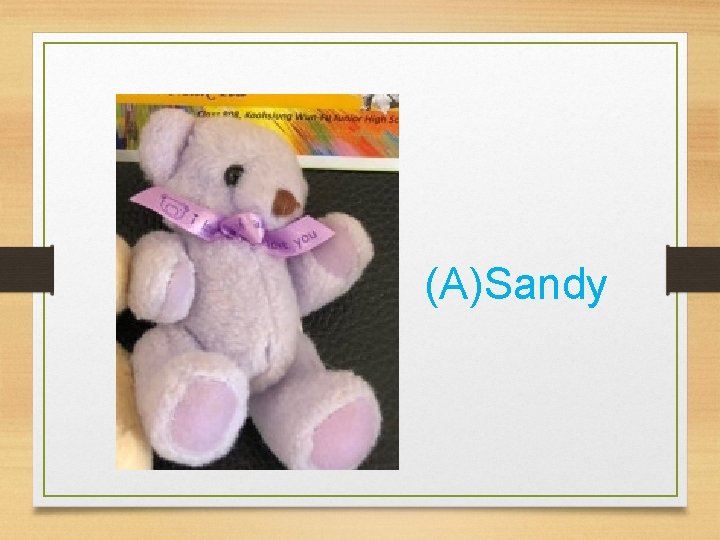 (A)Sandy 