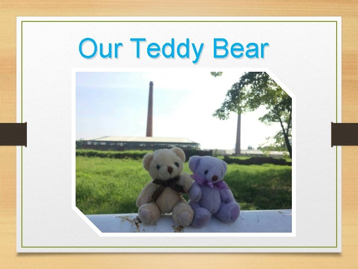 Our Teddy Bear 
