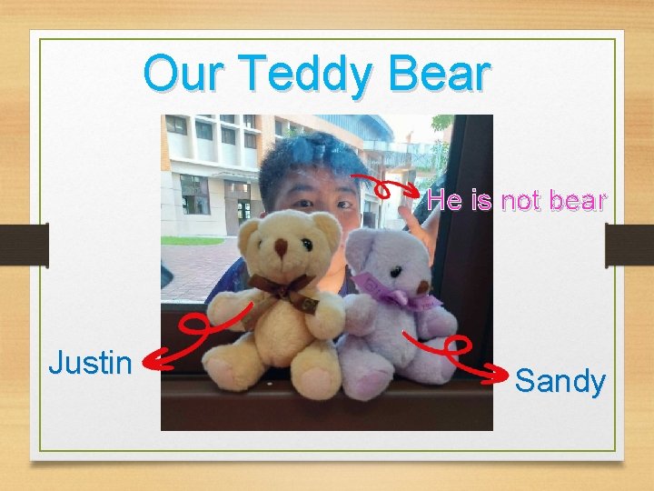 Our Teddy Bear He is not bear Justin Sandy 