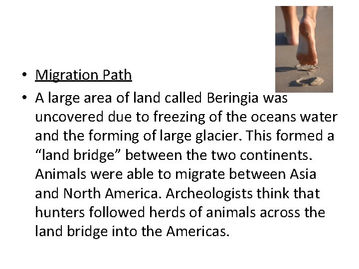  • Migration Path • A large area of land called Beringia was uncovered