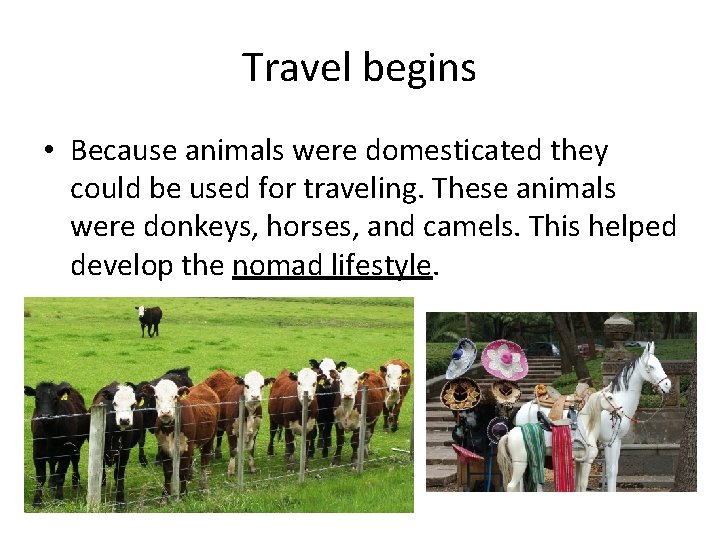 Travel begins • Because animals were domesticated they could be used for traveling. These