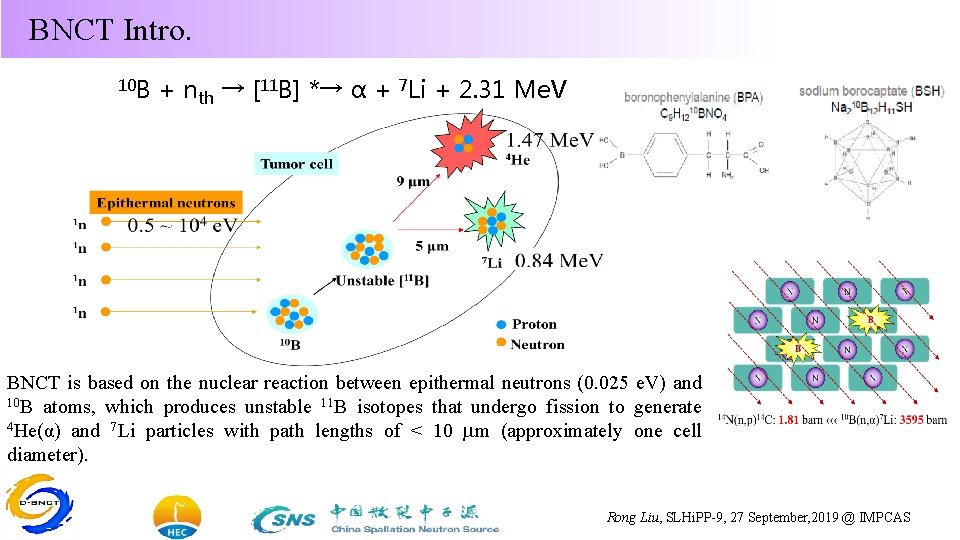 BNCT Intro. 10 B + nth → [11 B] *→ α + 7 Li