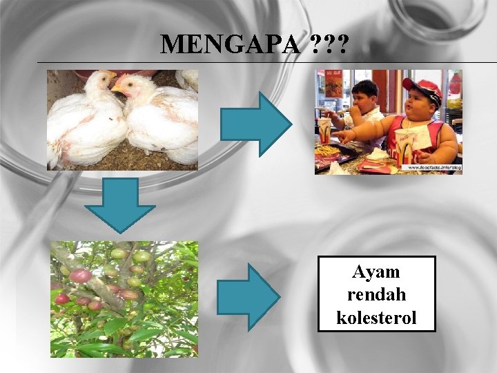 MENGAPA ? ? ? Ayam rendah kolesterol 