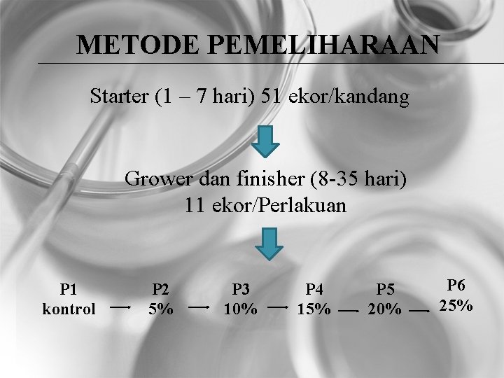 METODE PEMELIHARAAN Starter (1 – 7 hari) 51 ekor/kandang Grower dan finisher (8 -35