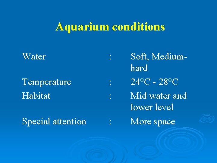 Aquarium conditions Water : Temperature Habitat : : Special attention : Soft, Mediumhard 24°C