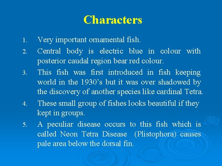 Characters 1. 2. 3. 4. 5. Very important ornamental fish. Central body is electric