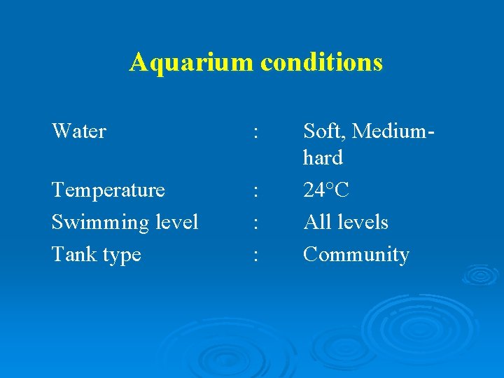 Aquarium conditions Water : Temperature Swimming level Tank type : : : Soft, Mediumhard