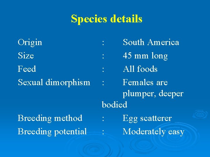 Species details Origin Size Feed Sexual dimorphism Breeding method Breeding potential : : South