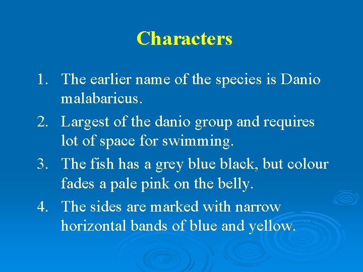 Characters 1. The earlier name of the species is Danio malabaricus. 2. Largest of