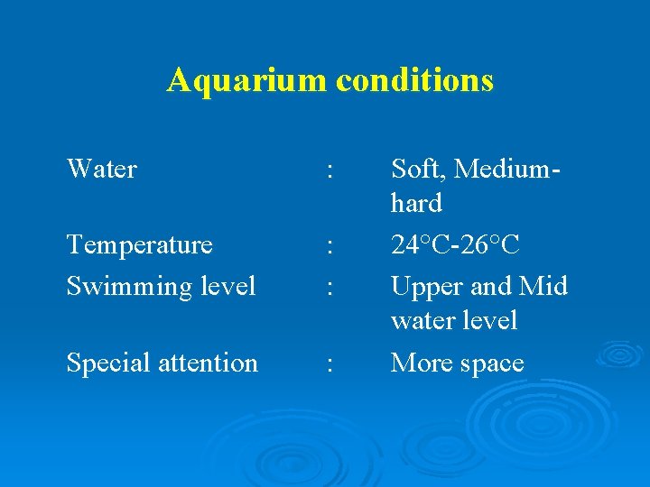 Aquarium conditions Water : Temperature Swimming level : : Special attention : Soft, Mediumhard