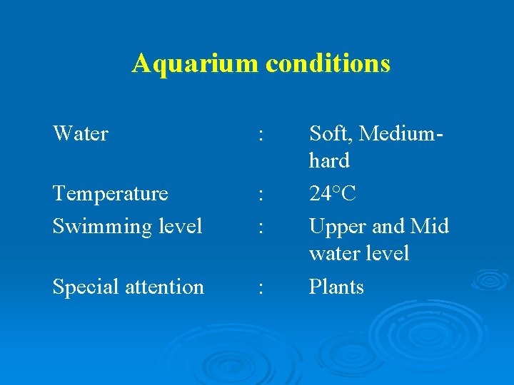 Aquarium conditions Water : Temperature Swimming level : : Special attention : Soft, Mediumhard