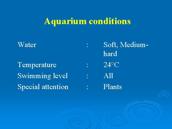 Aquarium conditions Water : Temperature Swimming level Special attention : : : Soft, Mediumhard