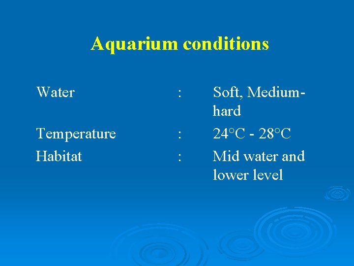 Aquarium conditions Water : Temperature Habitat : : Soft, Mediumhard 24°C - 28°C Mid