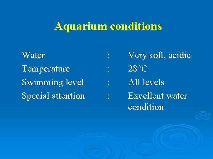 Aquarium conditions Water Temperature Swimming level Special attention : : Very soft, acidic 28°C