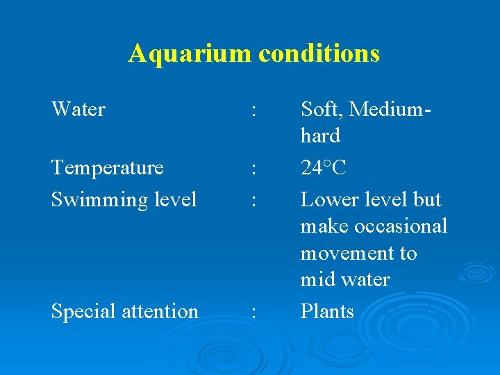 Aquarium conditions Water : Temperature Swimming level : : Special attention : Soft, Mediumhard