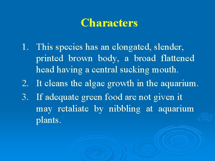 Characters 1. This species has an elongated, slender, printed brown body, a broad flattened