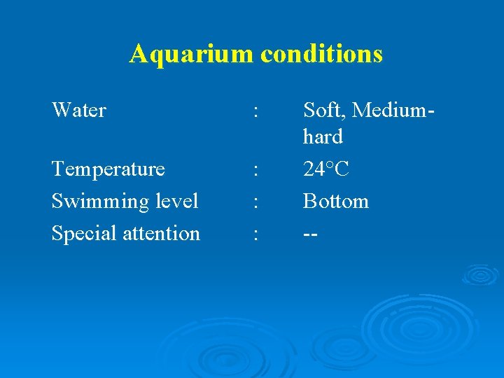 Aquarium conditions Water : Temperature Swimming level Special attention : : : Soft, Mediumhard