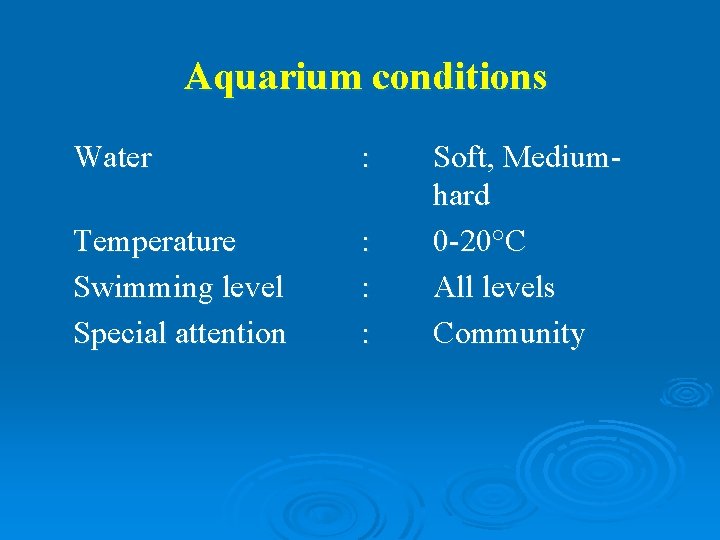 Aquarium conditions Water : Temperature Swimming level Special attention : : : Soft, Mediumhard