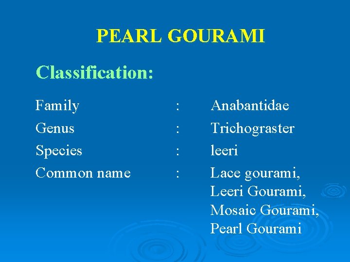 PEARL GOURAMI Classification: Family Genus Species Common name : : Anabantidae Trichograster leeri Lace