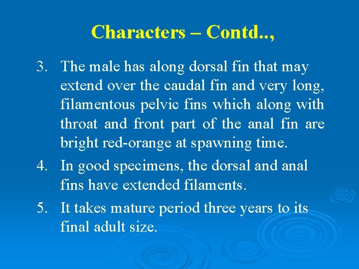 Characters – Contd. . , 3. The male has along dorsal fin that may