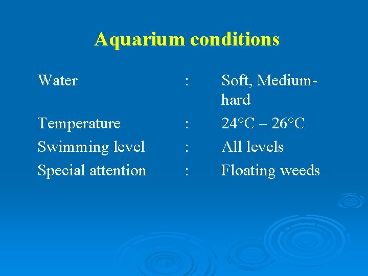 Aquarium conditions Water : Temperature Swimming level Special attention : : : Soft, Mediumhard
