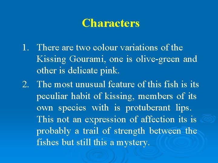 Characters 1. There are two colour variations of the Kissing Gourami, one is olive-green