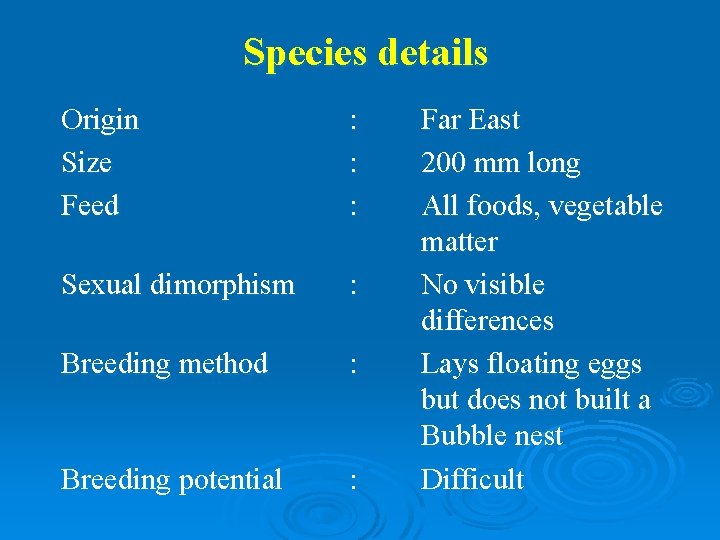 Species details Origin Size Feed : : : Sexual dimorphism : Breeding method :