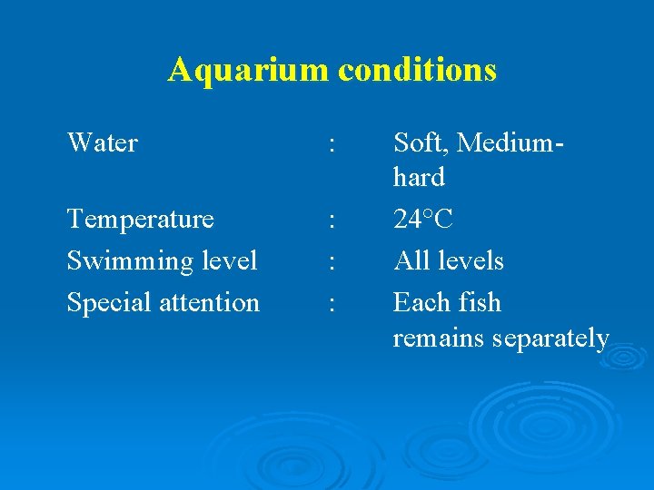 Aquarium conditions Water : Temperature Swimming level Special attention : : : Soft, Mediumhard