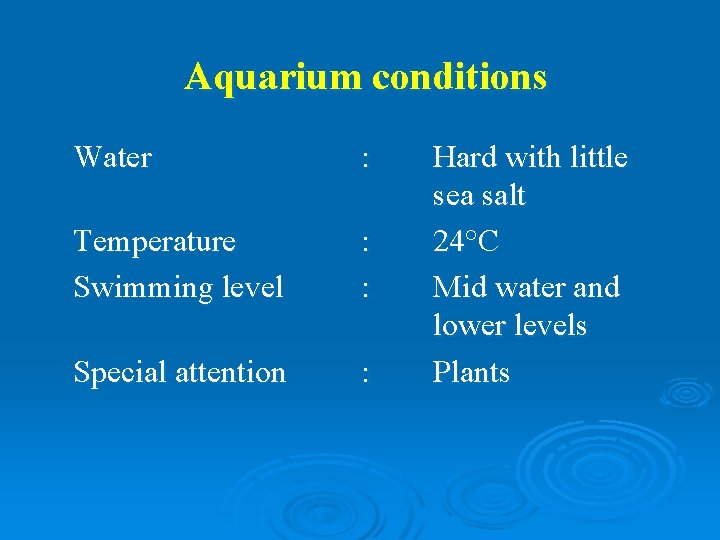 Aquarium conditions Water : Temperature Swimming level : : Special attention : Hard with