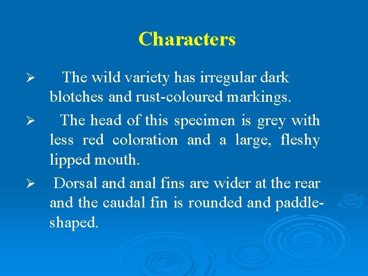 Characters The wild variety has irregular dark blotches and rust-coloured markings. Ø The head