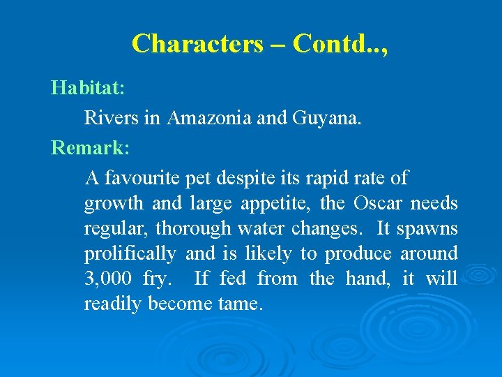 Characters – Contd. . , Habitat: Rivers in Amazonia and Guyana. Remark: A favourite