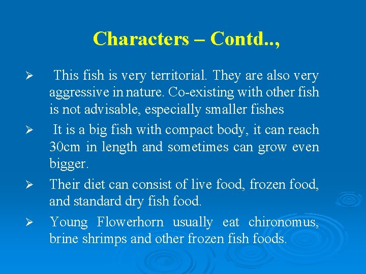 Characters – Contd. . , Ø Ø This fish is very territorial. They are