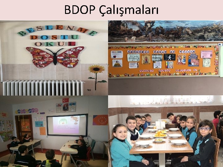 BDOP Çalışmaları 