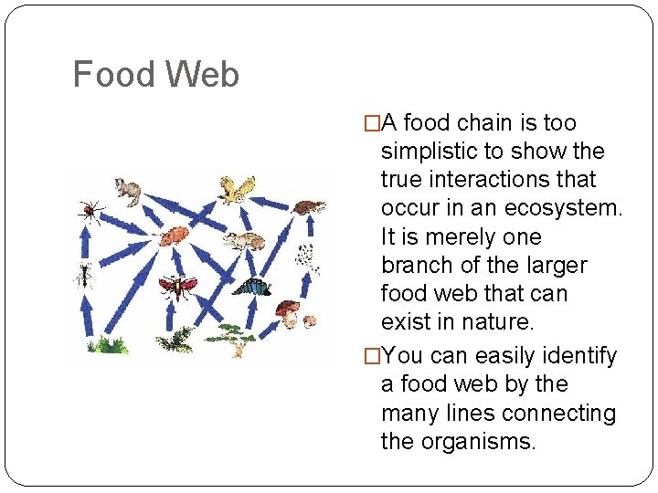 Food Web �A food chain is too simplistic to show the true interactions that