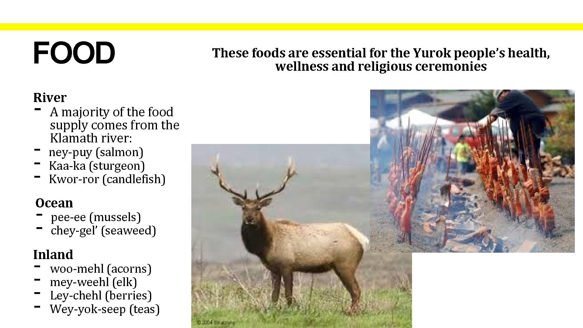 FOOD River A majority of the food supply comes from the Klamath river: -