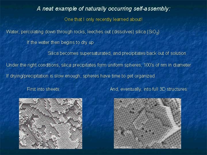 A neat example of naturally occurring self-assembly: One that I only recently learned about!