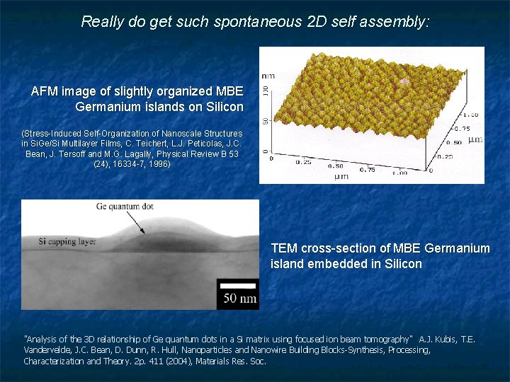 Really do get such spontaneous 2 D self assembly: AFM image of slightly organized