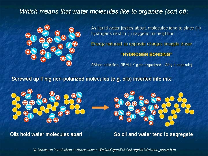 Which means that water molecules like to organize (sort of): As liquid water jostles