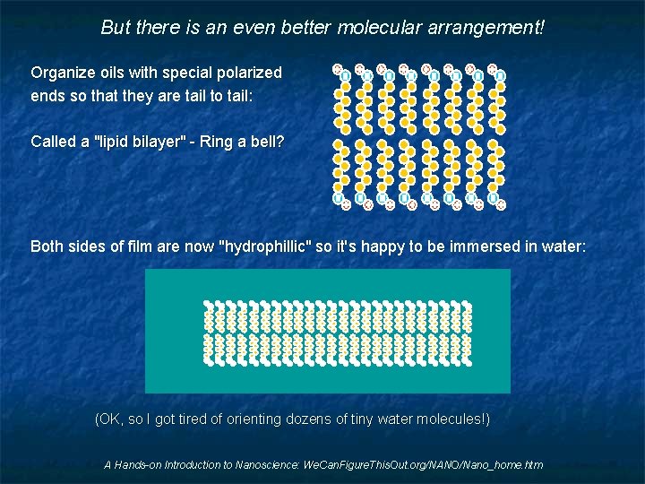 But there is an even better molecular arrangement! Organize oils with special polarized ends