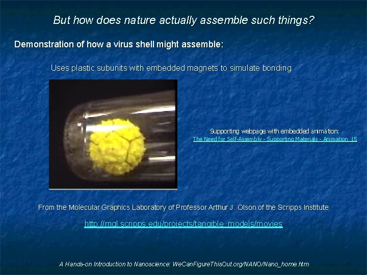 But how does nature actually assemble such things? Demonstration of how a virus shell