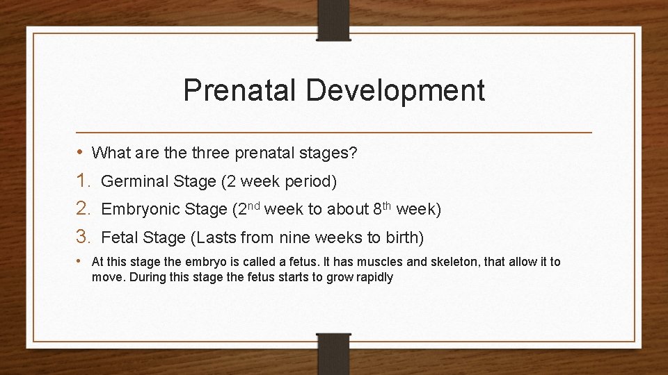 Prenatal Development • What are three prenatal stages? 1. Germinal Stage (2 week period)