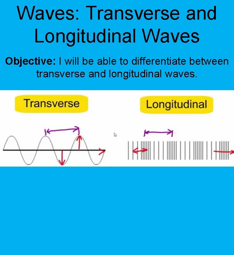 Waves: Transverse and Longitudinal Waves Objective: I will be able to differentiate between transverse