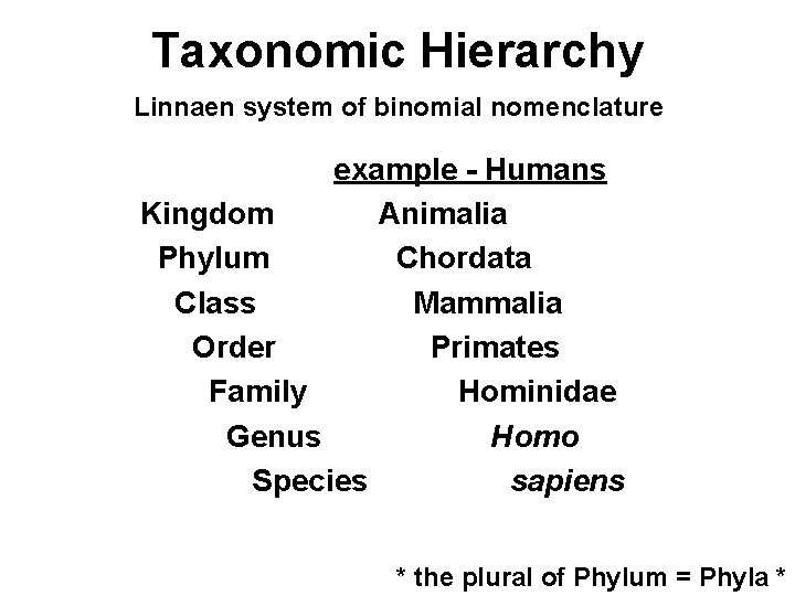 Taxonomic Hierarchy Linnaen system of binomial nomenclature example - Humans Kingdom Animalia Phylum Chordata