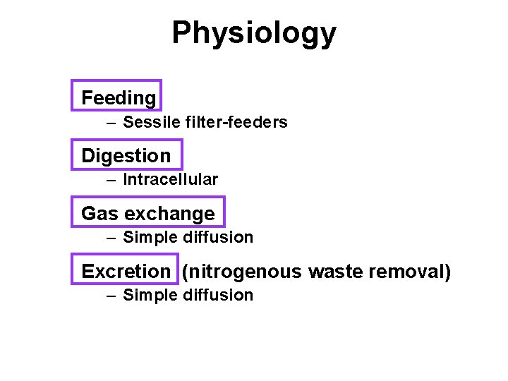 Physiology Feeding – Sessile filter-feeders Digestion – Intracellular Gas exchange – Simple diffusion Excretion