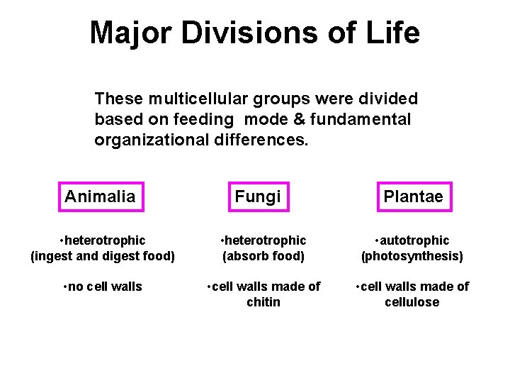 Major Divisions of Life These multicellular groups were divided based on feeding mode &