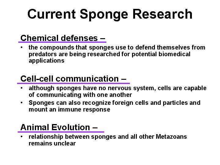 Current Sponge Research Chemical defenses – • the compounds that sponges use to defend