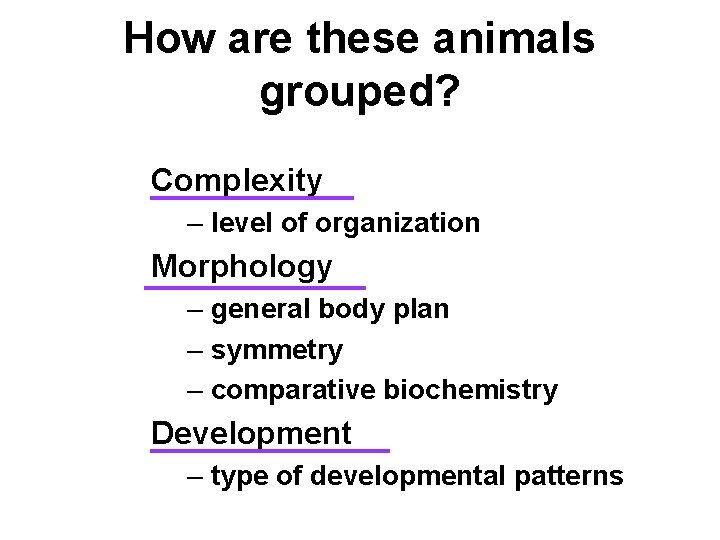 How are these animals grouped? Complexity – level of organization Morphology – general body